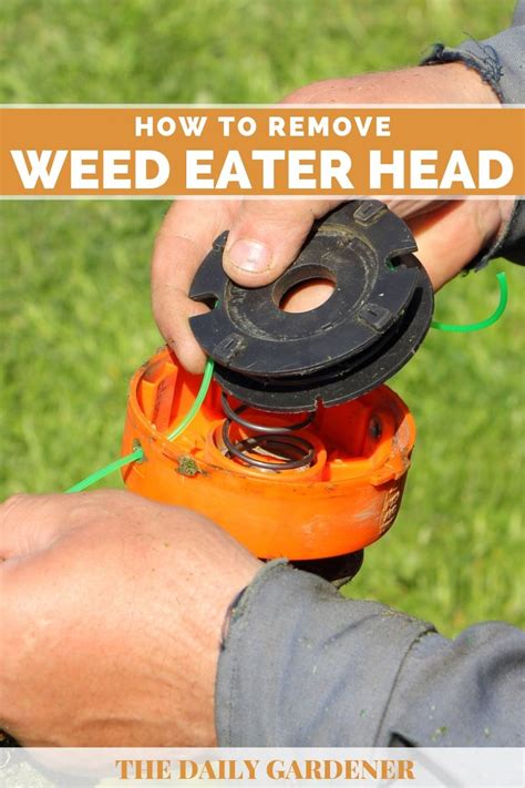 How to Remove Weed Eater Head Fast?