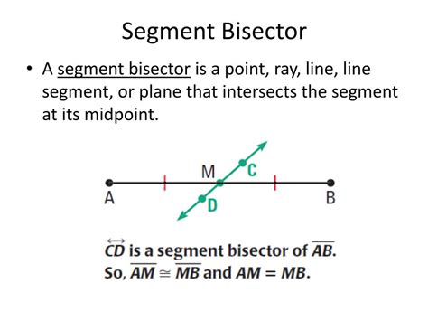 Segment Bisector Geometry