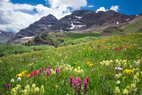 Mountain Tea: Hot from a thermos, iced - tea in all forms ideal