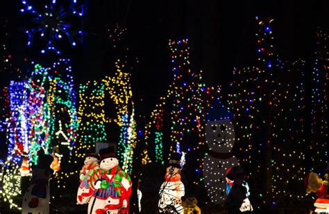 Christmas Magic: A Festival of Lights | York - SHIP SAVES