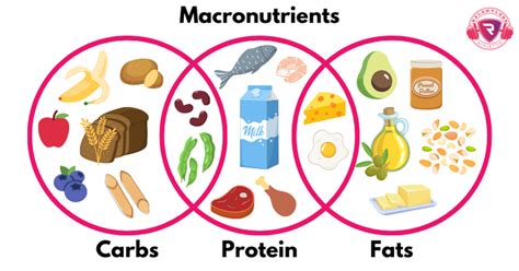 How Does Nutrient Timing Affect Athletic Performance — Relentless Athletics