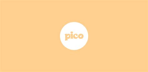 Pico - Logo design & brand identity on Behance