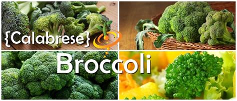 Broccoli - Calabrese