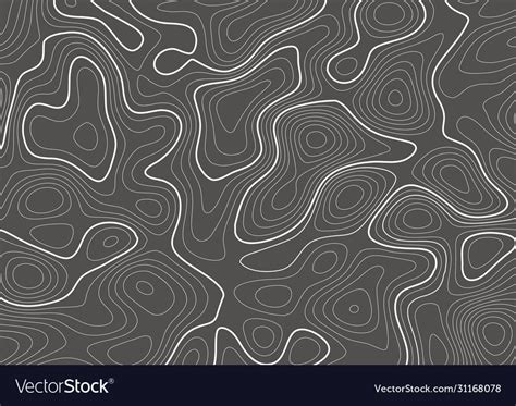 Topography contour map design Royalty Free Vector Image