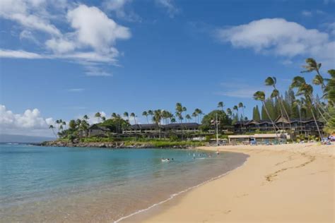 Napili Bay Snorkeling Guide - Maui Hideaway