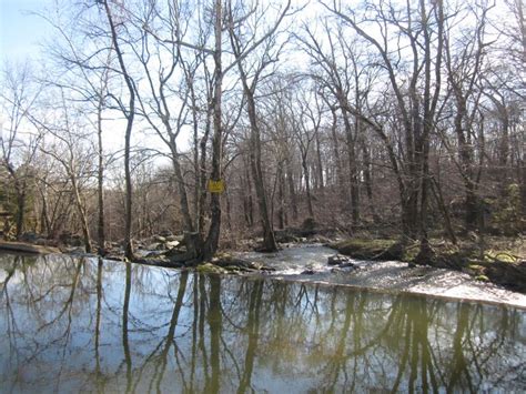 9 Beautiful Waterfalls in Maryland Worth Seeing - Scenic States