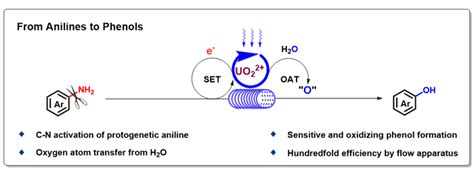 From aniline to phenol: The new mechanism of | EurekAlert!