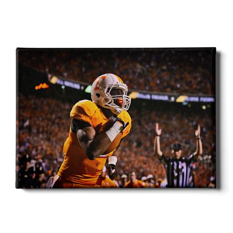 Tennessee Vols - Mascot - College Wall Art