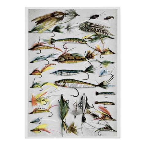 Vintage Posters & Prints | Zazzle | Fly fishing lures, Fly fishing ...