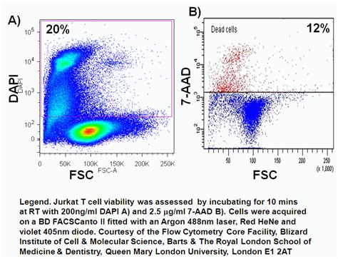 3 Ways To Measure Cell Death With Flow Cytometry - Cheeky Scientist