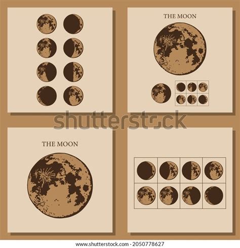 Moon Moon Phases Modern Colors Contemporary Stock Vector (Royalty Free ...