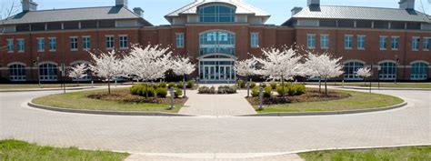 College and University Track & Field Teams | College of Southern Maryland