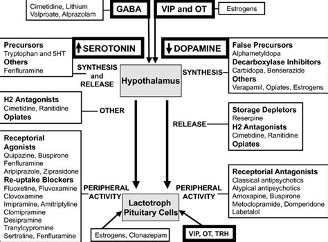 Schematic representation of mechanisms of drug-induced ...