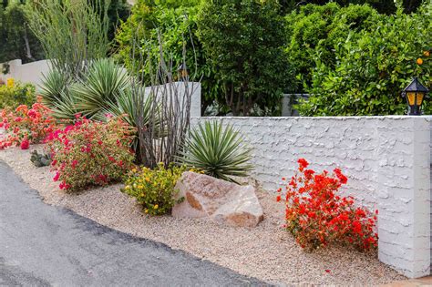 What Is Drought-Tolerant Landscaping?