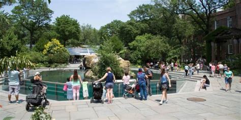 Central Park Zoo Tickets 2024 | Book TicketsToDo Online