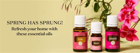 13 Essential Oils for Spring | Young Living Blog