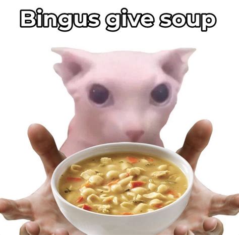 The soup : r/bingus