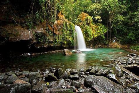 Taytay Falls in Majayjay Laguna | The great outdoors, Happy places, Outdoor