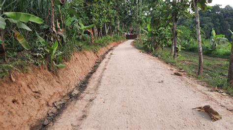 BERKAT JALAN TMMD, TERDAPAT DAMPAK EKONOMI YANG DIRASAKAN MASYARAKAT TUNJUNGAN | BLORANEWS