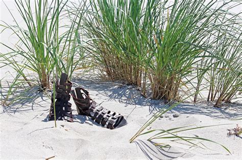 9 Best Sandals For The Beach - LearnAboutShoes