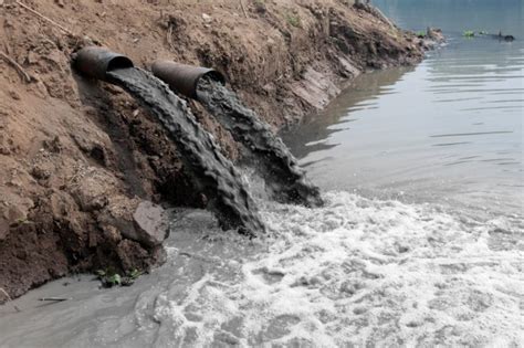 Principales causas de la contaminación del agua | Ingredientes que Suman