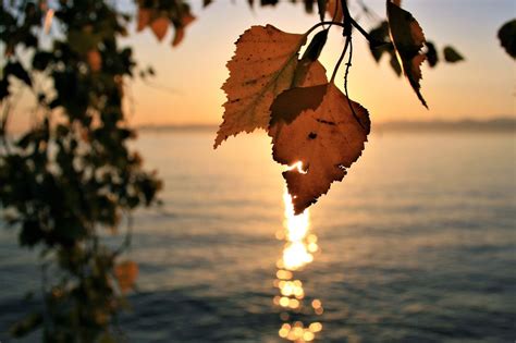 Autumn Sunrise Over Lake Wallpapers - Wallpaper Cave