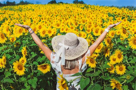 Colby Farm Sunflower Portrait Session — Stephen Grant Photography