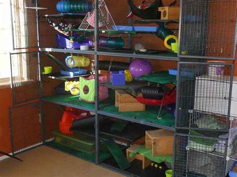 Cheap [&] 5 Best Rat Cages for 4 Rats - Basic Rodents