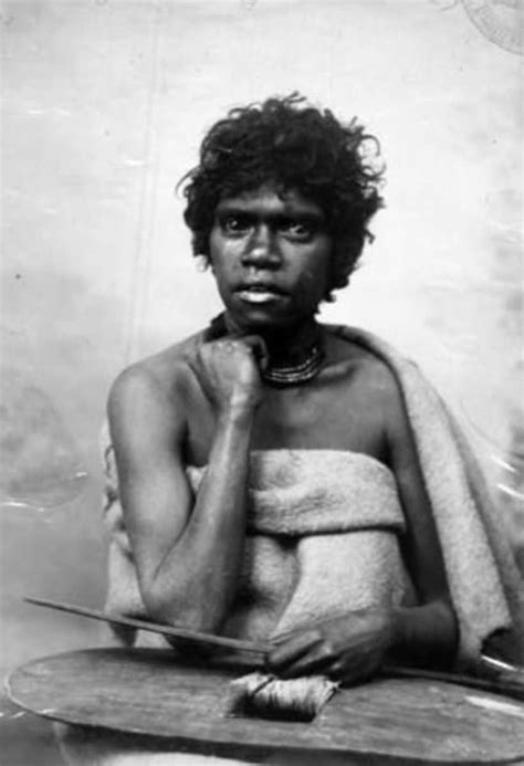 A Modern History of Tasmanian Aboriginal Peoples - HubPages