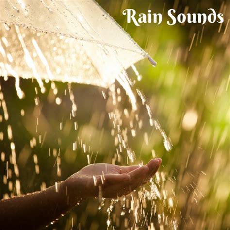 Stream Soothing Relaxation | Listen to Relaxing Music with Rain Sounds playlist online for free ...