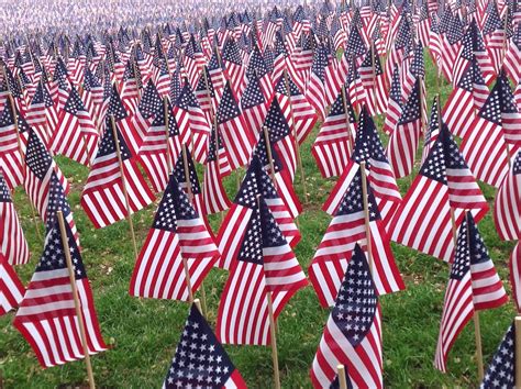 Life From The Roots: 37,000 Flags for Memorial Day in Boston