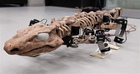 Evidence from fossils and a robot hint at how ancient tetrapods walked | Science News