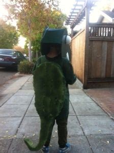 Crocodile Costume - Halloween - Peter Pan : 10 Steps (with Pictures ...