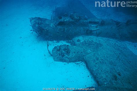 Stock photo of Wreck of B-17 British II World war bomber airplane underwater, Papua New ...