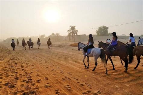 Private Desert Horse Riding Experience in Dubai 2024