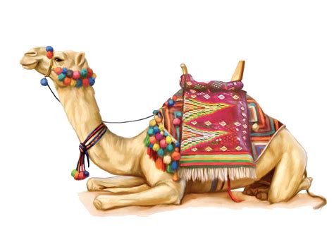 How Camel Can Survive in Extensive Heat and Desert | PNG All | Illustration, Blæk