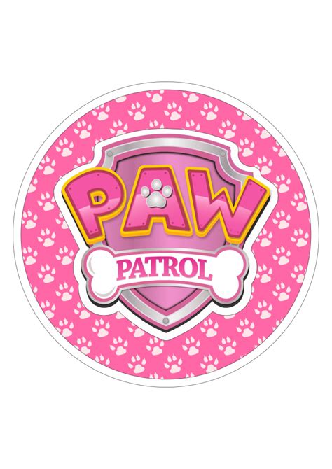 Skye Paw Patrol Cake, Sky Paw Patrol, Paw Patrol Girl, Paw Patrol Birthday Theme, Girly Party ...