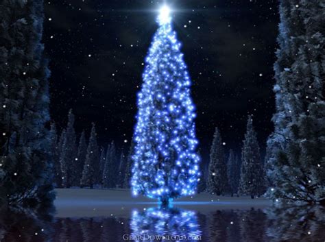 Christmas Tree Animated Wallpaper Download - christmas_demo.exe