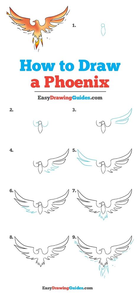 How To Draw A Phoenix Real Time Drawing Tutorial – Themeloader