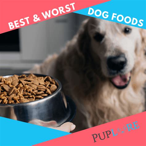 16 Worst Dog Food Brands to Avoid in 2020 [+16 Top Choices]