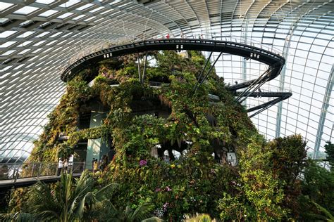 Gardens by the Bay, Cloud Forest Conservatory's Cloud Mountain ...