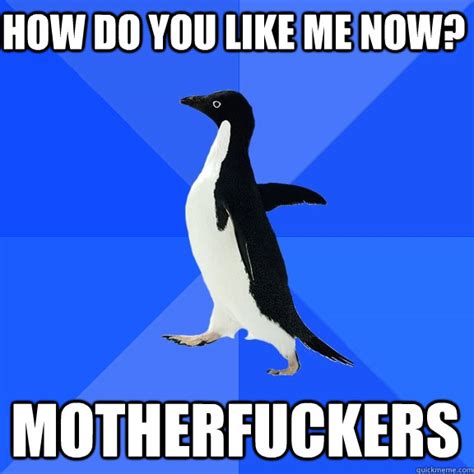 How do you like me now? Motherfuckers - Socially Awkward Penguin - quickmeme