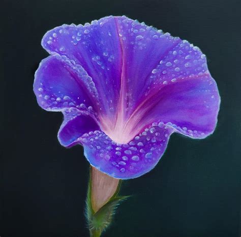 Hyper-Realistic Morning Glory Painting 🎨😮 : r/flowers