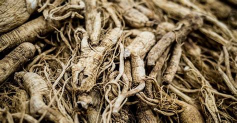 10 Health-Enhancing Benefits of Ginseng - Healthy Hints