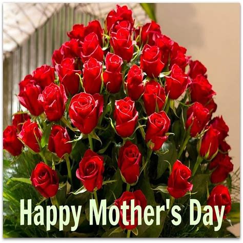 For > Happy Mothers Day Roses. Mothers day roses, Mother's Day Flowers ...