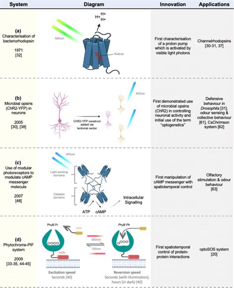 Progression of optogenetic systems in cell biology. a Characterisation... | Download Scientific ...