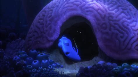 Finding Dory – The Reef in Real Life – Be A Fun Mum