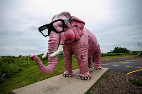 Pinkie the Pink Elephant with Glasses in DeForest, Wisconsin