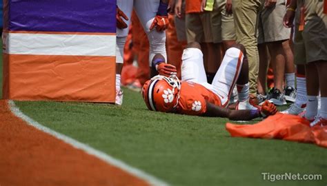 Mike Williams injury update | TigerNet