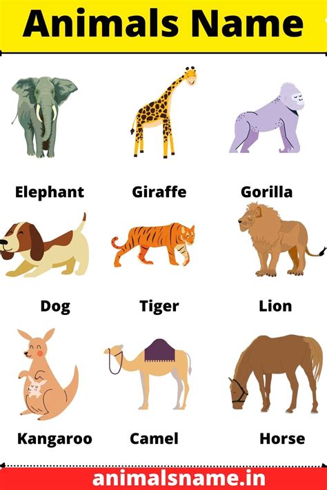 Air Animals With Names